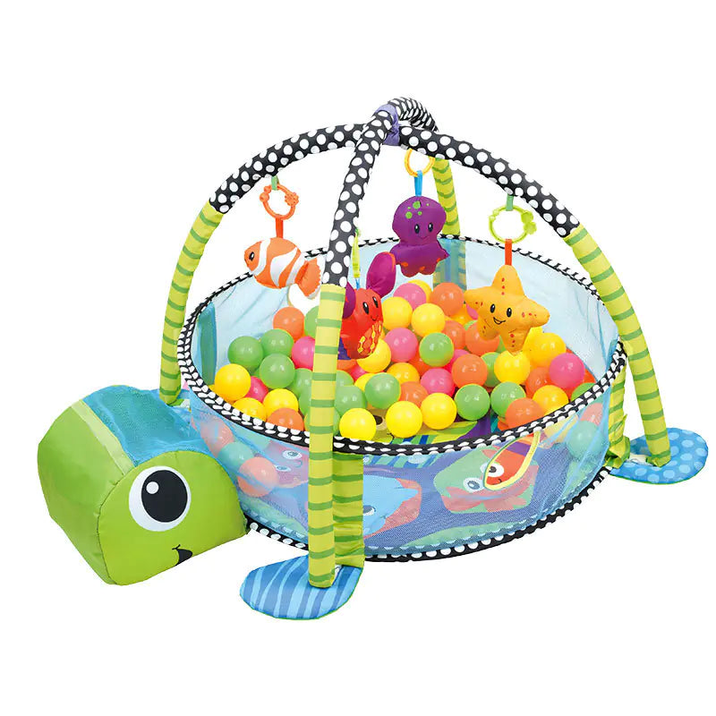 Baby Play Gym with Activity Mat & Balls
