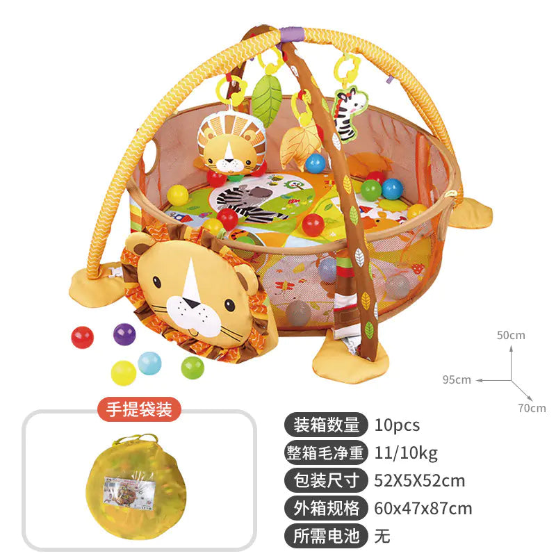 Baby Play Gym with Activity Mat & Balls
