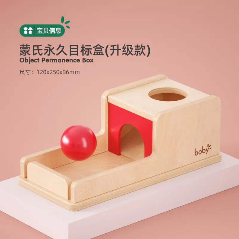Montessori Shape-Sorting Puzzle Box