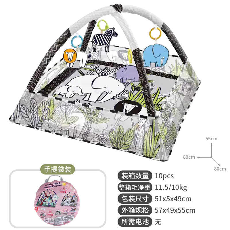 Baby Play Gym with Activity Mat & Balls