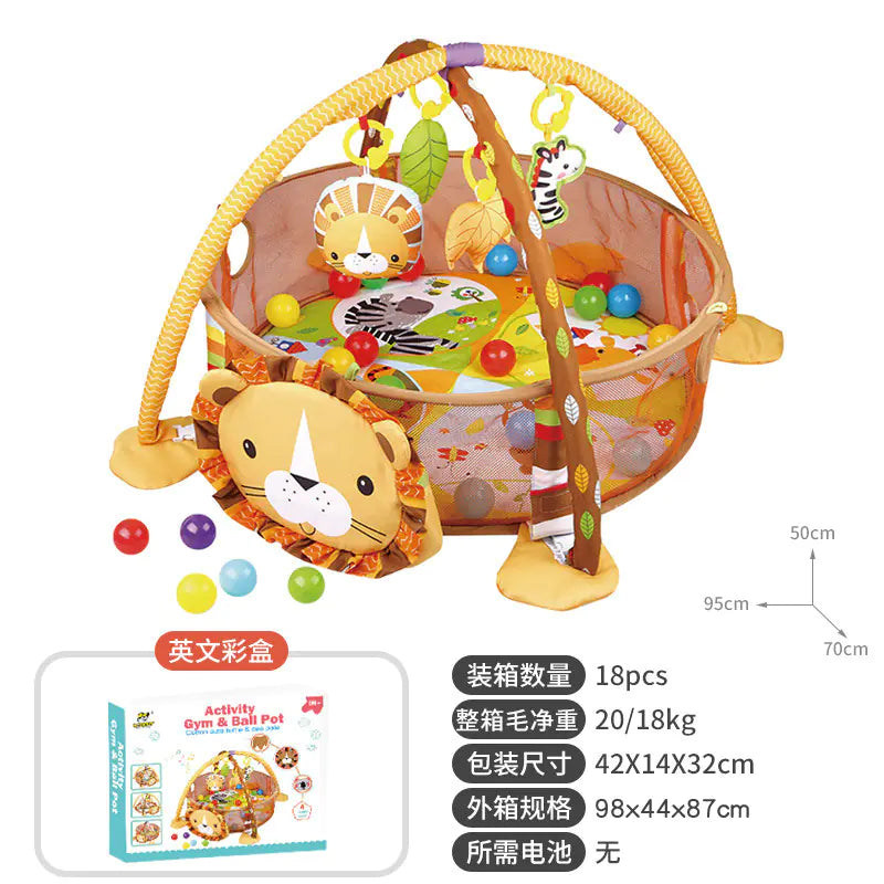 Baby Play Gym with Activity Mat & Balls